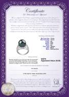 product certificate: TAH-B-AA-1213-R-Alva