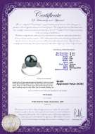 product certificate: TAH-B-AA-1213-R-Ireland