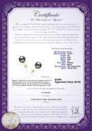 product certificate: TAH-B-AA-910-E
