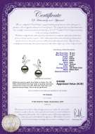product certificate: TAH-B-AAA-1011-E-Butterfly