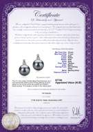 product certificate: TAH-B-AAA-1011-E-Hailey