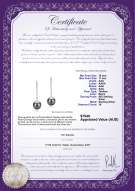 product certificate: TAH-B-AAA-1011-E-Porsha