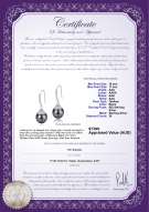 product certificate: TAH-B-AAA-1011-E-Roxanne