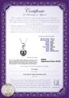 product certificate: TAH-B-AAA-1011-P-Eilidh