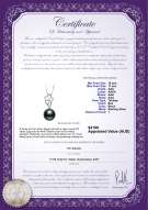 product certificate: TAH-B-AAA-1011-P-Hilary