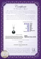 product certificate: TAH-B-AAA-1011-P-Regina