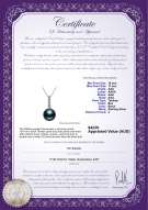 product certificate: TAH-B-AAA-1011-P-Ross