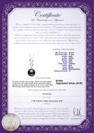 product certificate: TAH-B-AAA-1011-P-Virginia