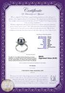 product certificate: TAH-B-AAA-1011-R-Billy
