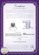 product certificate: TAH-B-AAA-1011-R-Maddie