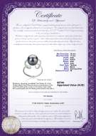 product certificate: TAH-B-AAA-1011-R-Sheila