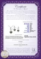 product certificate: TAH-B-AAA-1012-S-Butterfly