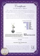 product certificate: TAH-B-AAA-89-P-Cora