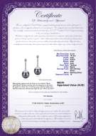 product certificate: TAH-B-AAA-910-E-Ariel