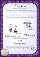 product certificate: TAH-B-AAA-910-E-Assina