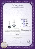 product certificate: TAH-B-AAA-910-E-Erma