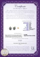 product certificate: TAH-B-AAA-910-E-Eternity-YG-L