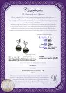 product certificate: TAH-B-AAA-910-E-Jeannie