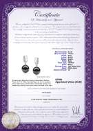 product certificate: TAH-B-AAA-910-E-Zuella