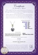 product certificate: TAH-B-AAA-910-P-Belva