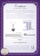 product certificate: TAH-B-AAA-910-P-Edna