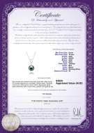 product certificate: TAH-B-AAA-910-P-Karen