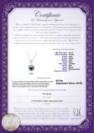 product certificate: TAH-B-AAA-910-P-Nicole