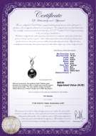 product certificate: TAH-B-AAA-910-P-Vita