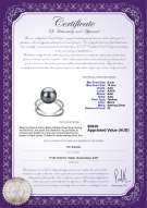 product certificate: TAH-B-AAA-910-R-Zana