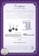 product certificate: TAH-B-AAA-911-S-Seductive