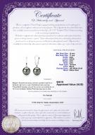 product certificate: TLA1BL10A-W
