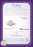 product certificate: W-14K-Clasp-DBL-Sussex