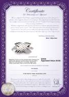 product certificate: W-18K-Oxford-Clasp