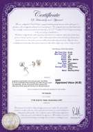 product certificate: W-AA-67-E