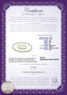 product certificate: W-AA-67-S