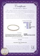product certificate: W-AA-758-N-Akoy