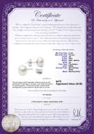 product certificate: W-AA-885-E-SS