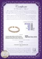 product certificate: W-AAAA-78-B