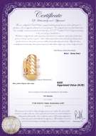 product certificate: Y-Alloy-TRP-Clasp-Ohio