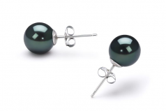 7-8mm AA Quality Japanese Akoya Cultured Pearl Earring Pair in Black