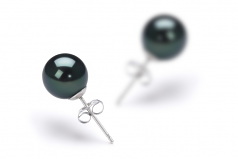 7-8mm AA Quality Japanese Akoya Cultured Pearl Earring Pair in Black