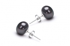 7-8mm AAA Quality Freshwater Cultured Pearl Earring Pair in Black