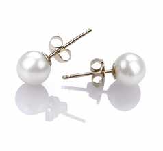 5.5-6mm AAAA Quality Freshwater Cultured Pearl Earring Pair in White