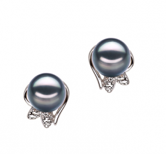 6-7mm AA Quality Japanese Akoya Cultured Pearl Earring Pair in Jodie Black