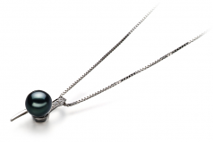 7-8mm AA Quality Japanese Akoya Cultured Pearl Pendant in Destina Black