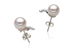 6-7mm AA Quality Japanese Akoya Cultured Pearl Earring Pair in Sydney White