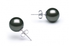 10-11mm AAA Quality Tahitian Cultured Pearl Earring Pair in Black