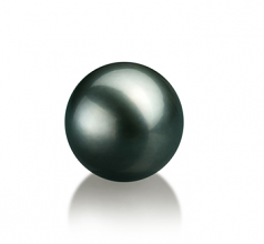 12-13mm AA Quality Tahitian Loose Pearl in Black