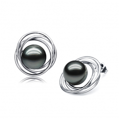 9-10mm AAA Quality Tahitian Cultured Pearl Earring Pair in Triple Circle Stud Black
