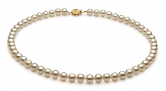 6.5-7mm AA Quality Japanese Akoya Cultured Pearl Set in White